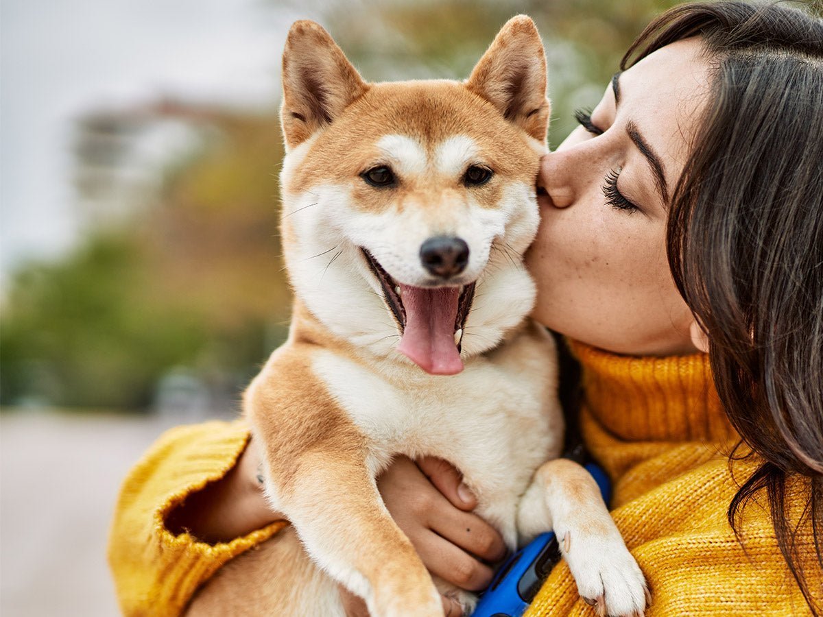Woman kissing dog