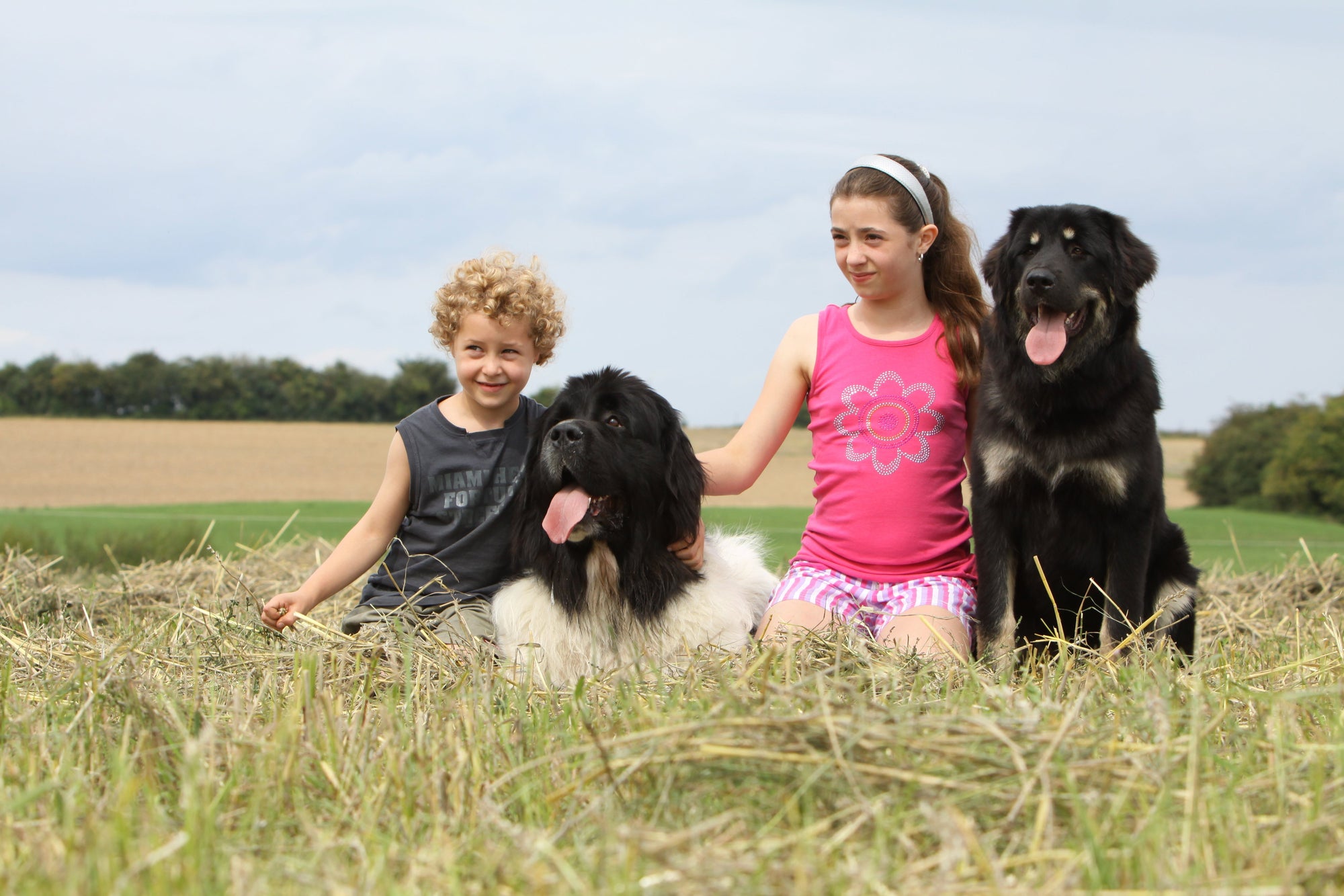 two children with newfoundland and other large dog