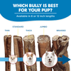 Which 12-Inch Standard Odor-Free Bully Stick from Best Bully Sticks is best for your pup?