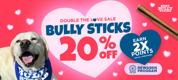 Natural Bully Sticks for Dogs