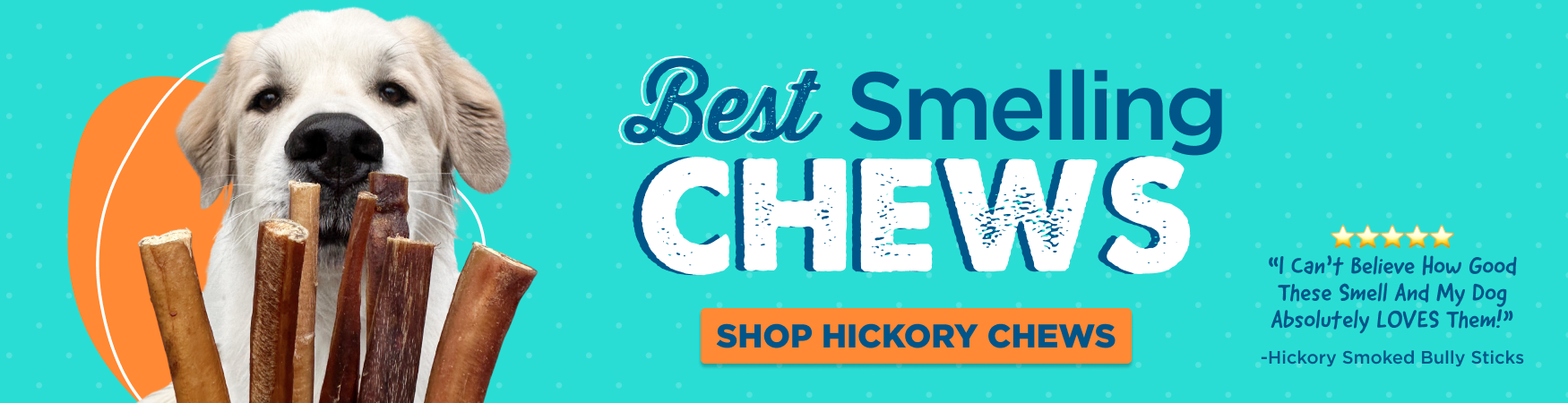 dog sniffing bully sticks- shop hickory smoked chews