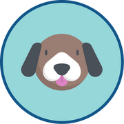 Collection Icon