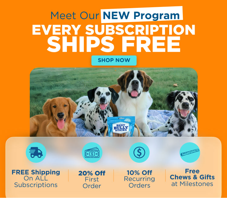 new subscription program with dogs and promotional text on an orange background