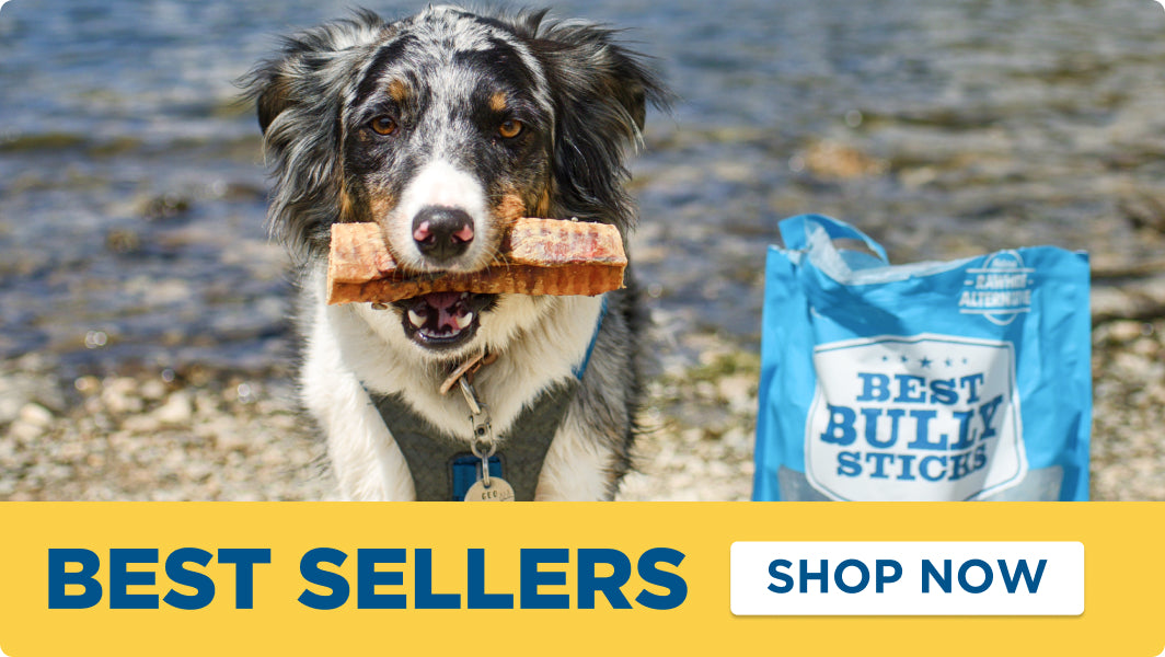 best sellers shop now