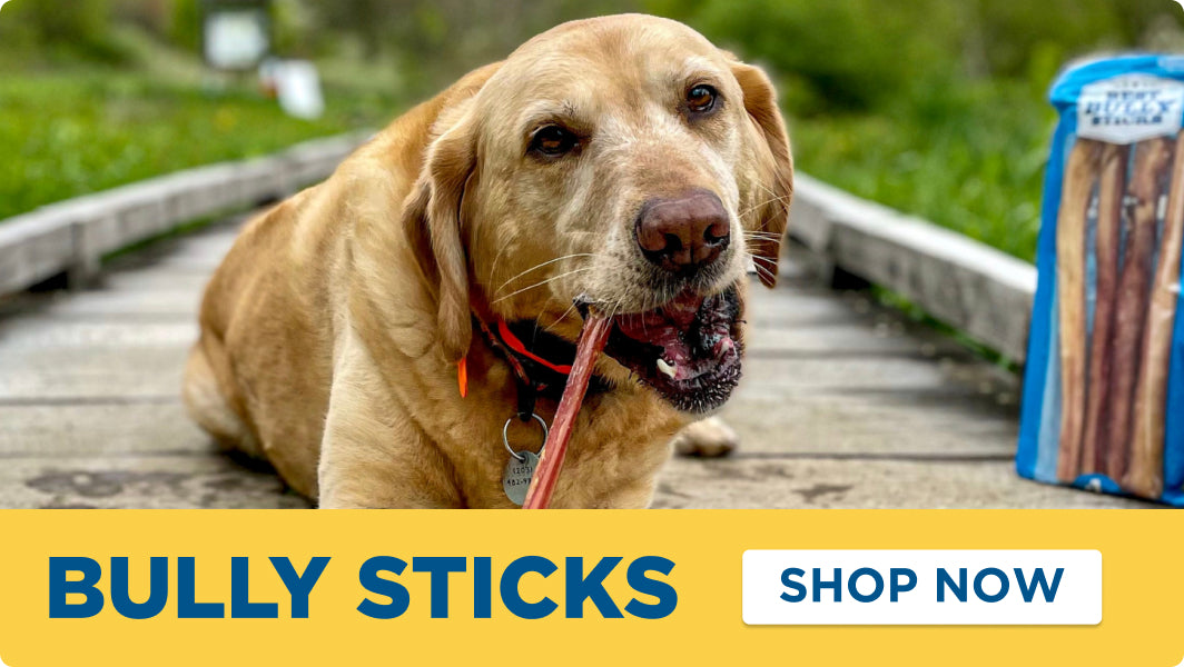 bully sticks shop now