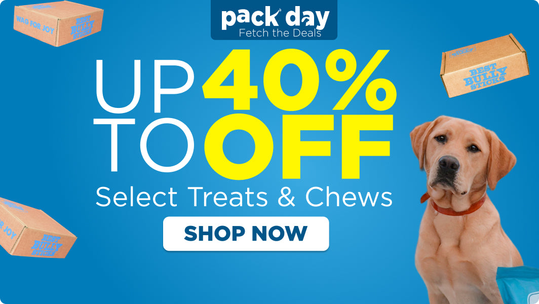 Promotional banner for Pack Day with a dog and treats, offering up to 40% off select treats and chews.