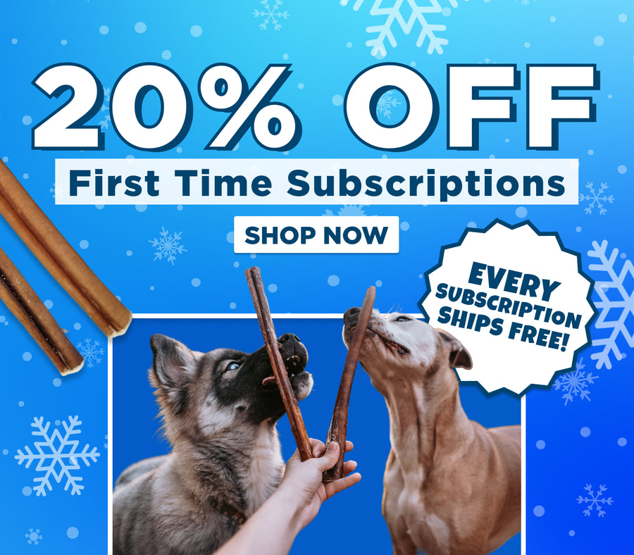 Promotional banner with 20% off first-time subscriptions offer, subscription benefits, and images of a dog with sticks.