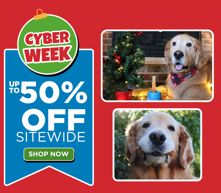 CYBER WEEK UP TO 50% OFF SITEWIDE