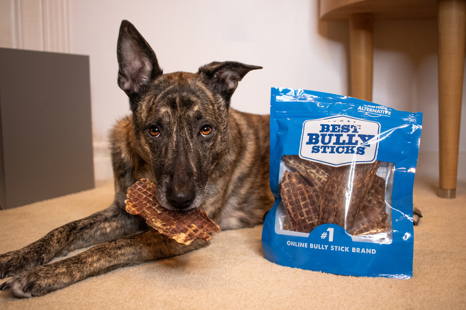 Gullet Treats for Dogs