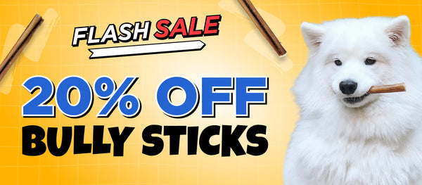 Natural Bully Sticks for Dogs