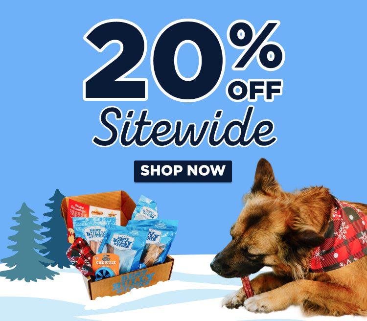 20% off sitewide shop now