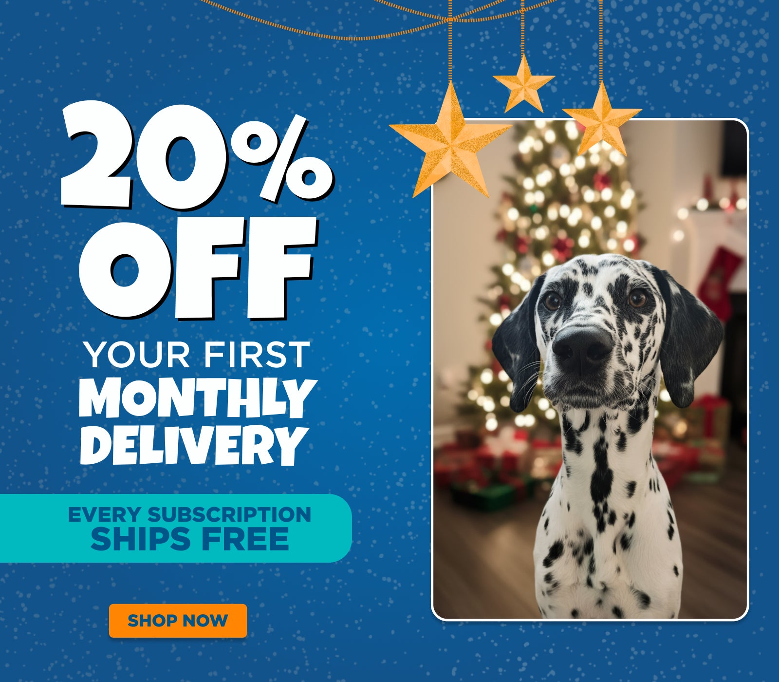 Promotional offer with a Dalmatian dog in front of a Christmas tree, featuring text about a 20% discount on monthly deliveries.