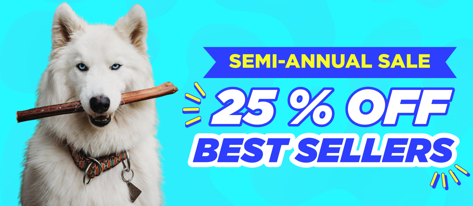 White dog holding a treat with semi-annual sale text on a blue background