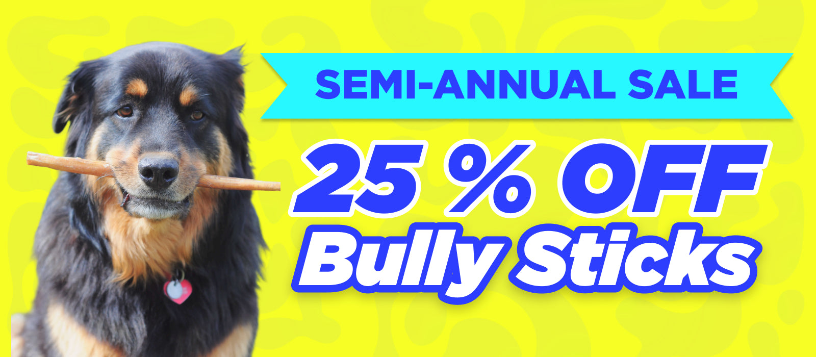 Promotional banner for a semi-annual sale with dog treats on a blue background