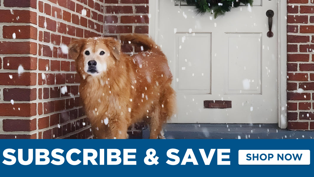 Dog standing in front of a door with snowflakes falling, subscribe and save text