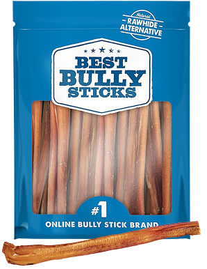 12" inch jumbo bully stick on a blue circle background