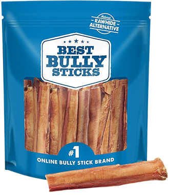 12" inch jumbo bully stick on a blue circle background