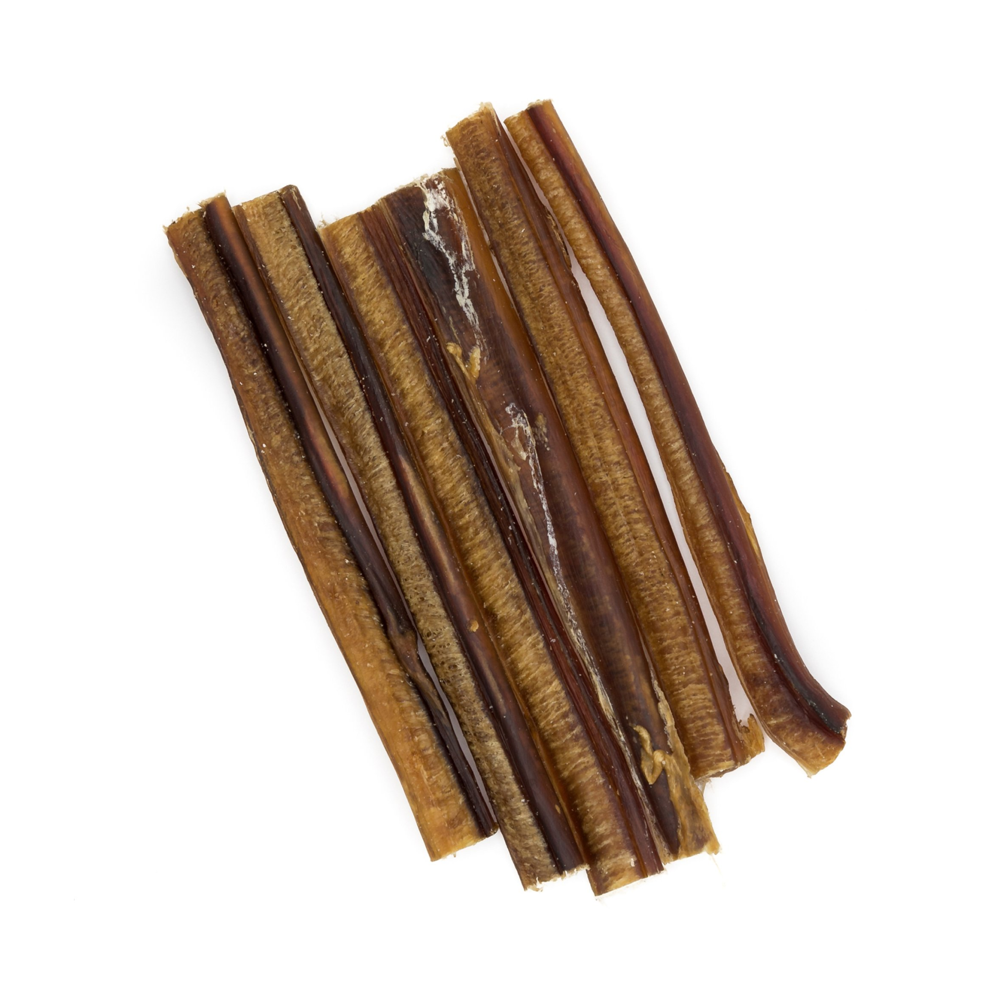A dog in a tent was chewing on a Best Bully Sticks 6-Inch Standard Odor-Free Bully Stick.