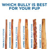 Which 6-Inch Jumbo Odor-Free Bully Stick from Best Bully Sticks is best for your pup?