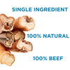 Single ingredient 100% natural 12-Inch Thick USA-Baked Odor-Free Bully Stick dog treat from Best Bully Sticks.