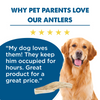 Why pet parents love our Best Bully Sticks Medium Whole Elk Antler (1 Count).