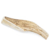 A Medium Whole Elk Antler (1 Count) on a white background by Best Bully Sticks.