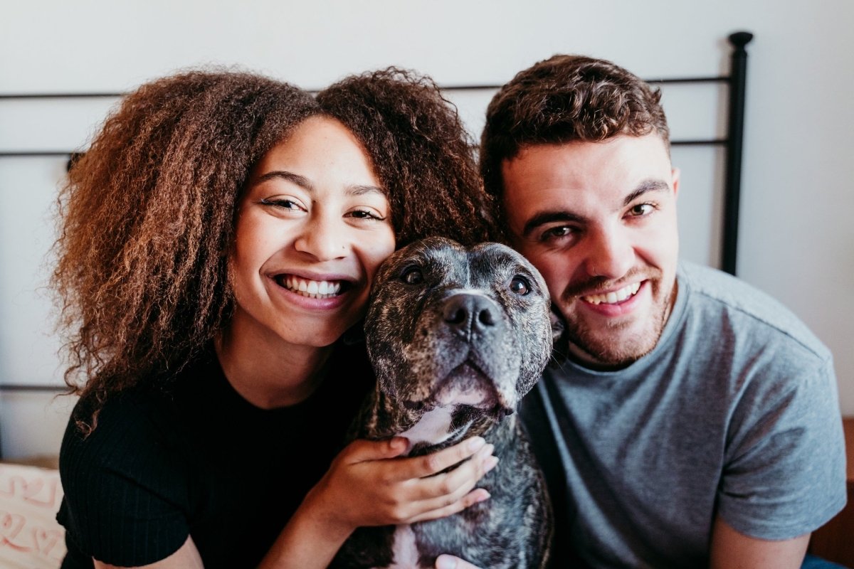 woman and man with gray pit bull in the middle of them