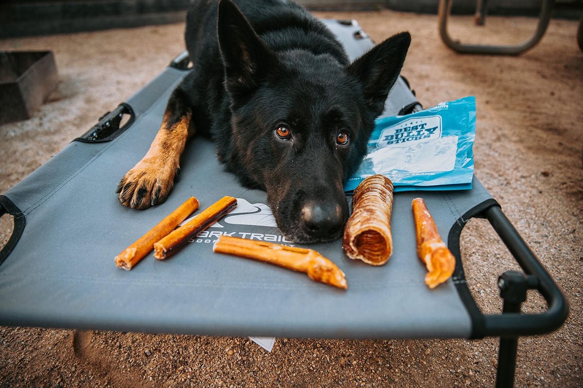 Rawhide Alternative dog treats