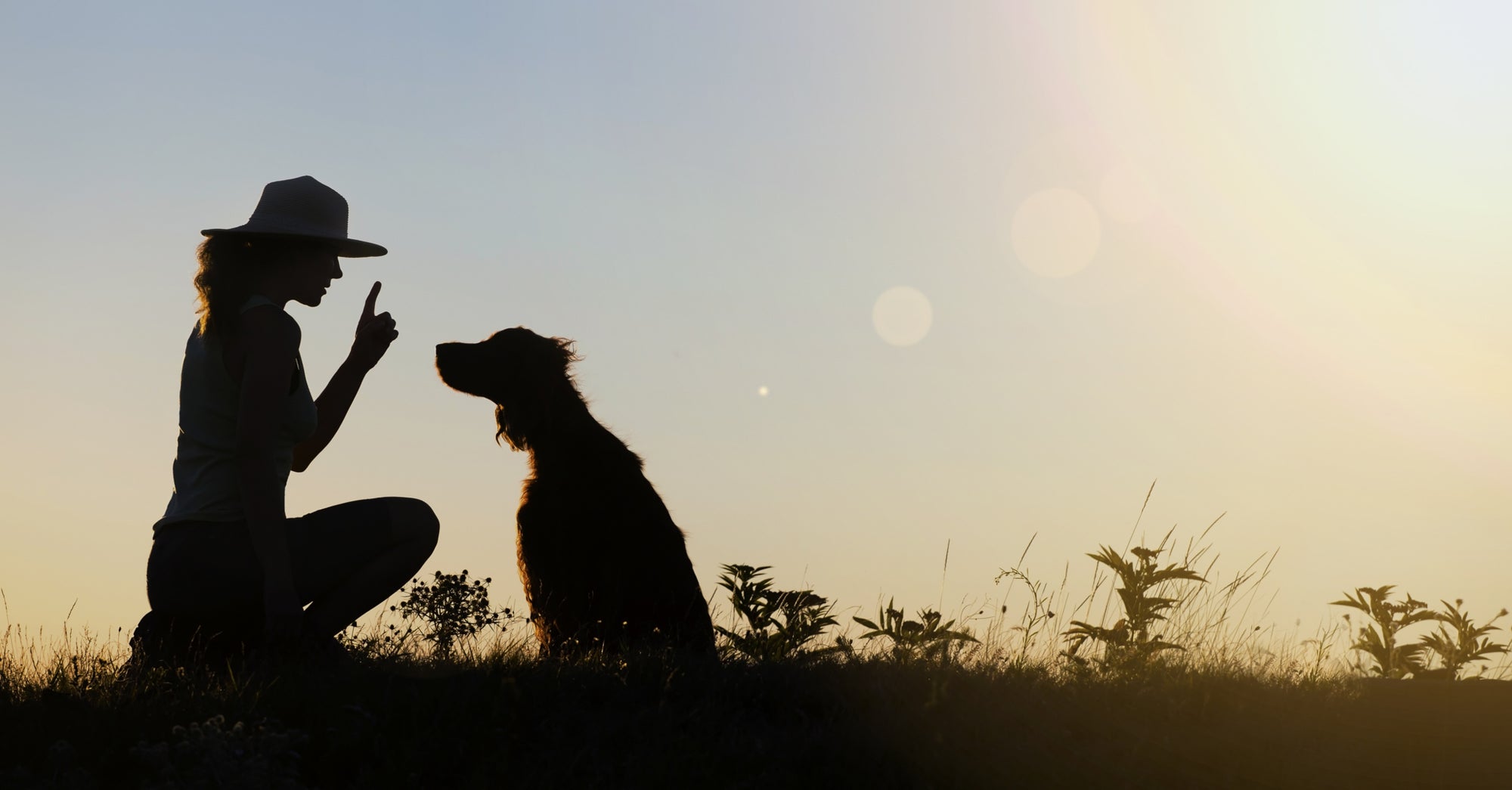 silhouette of woman training dog in field at sunset