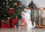 jack russle terrier standing near decorated christmas tree