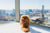 dog sitting by a window overlooking the city