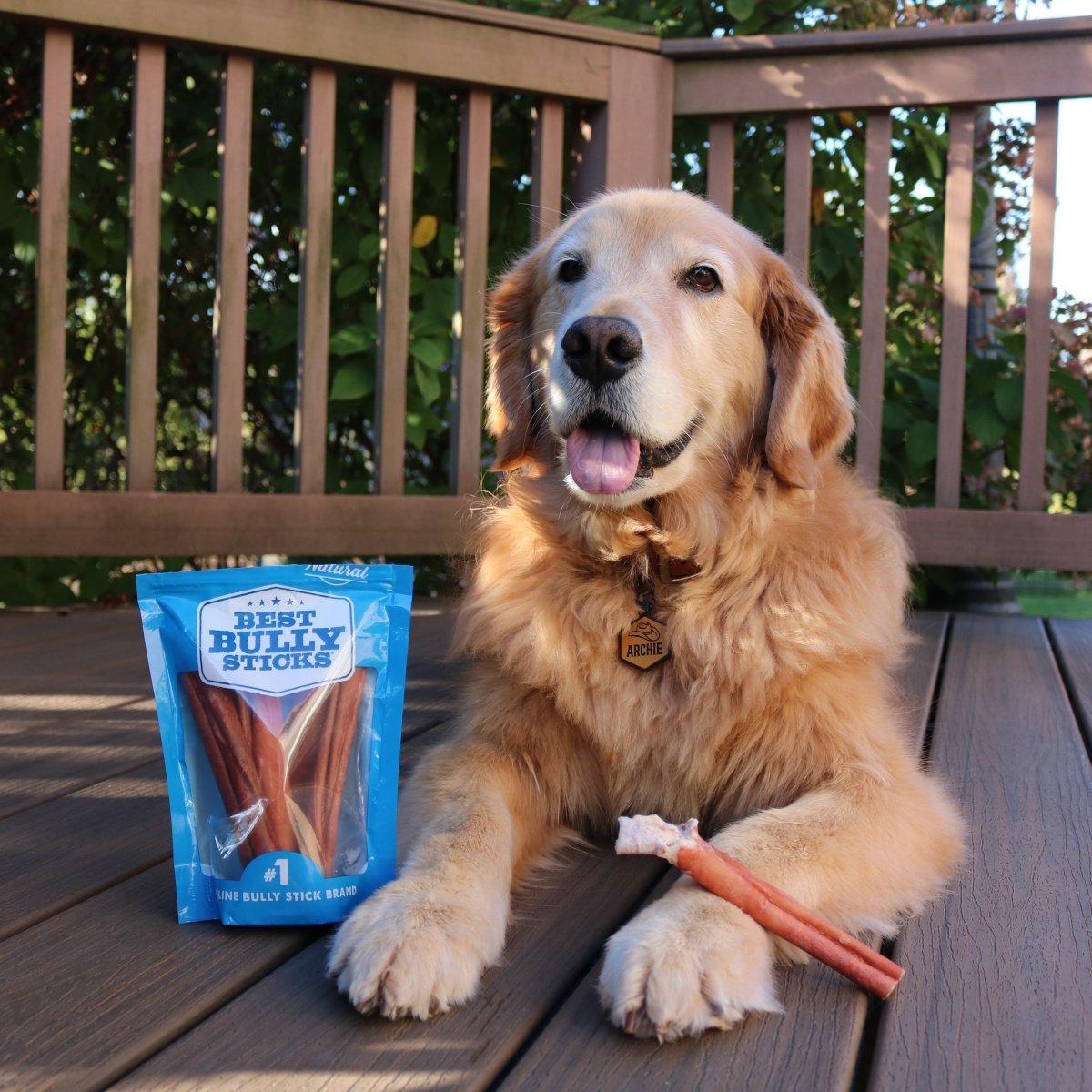 golden retriever laying on deck with a bully stick resting on its paw