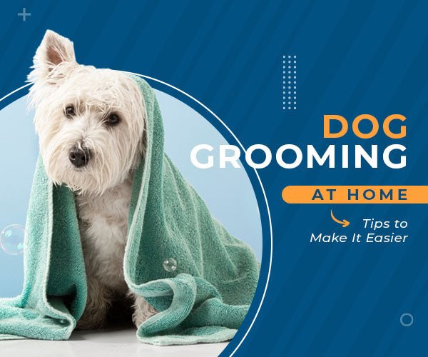 Dog Grooming at Home: Tips to Make It Easier