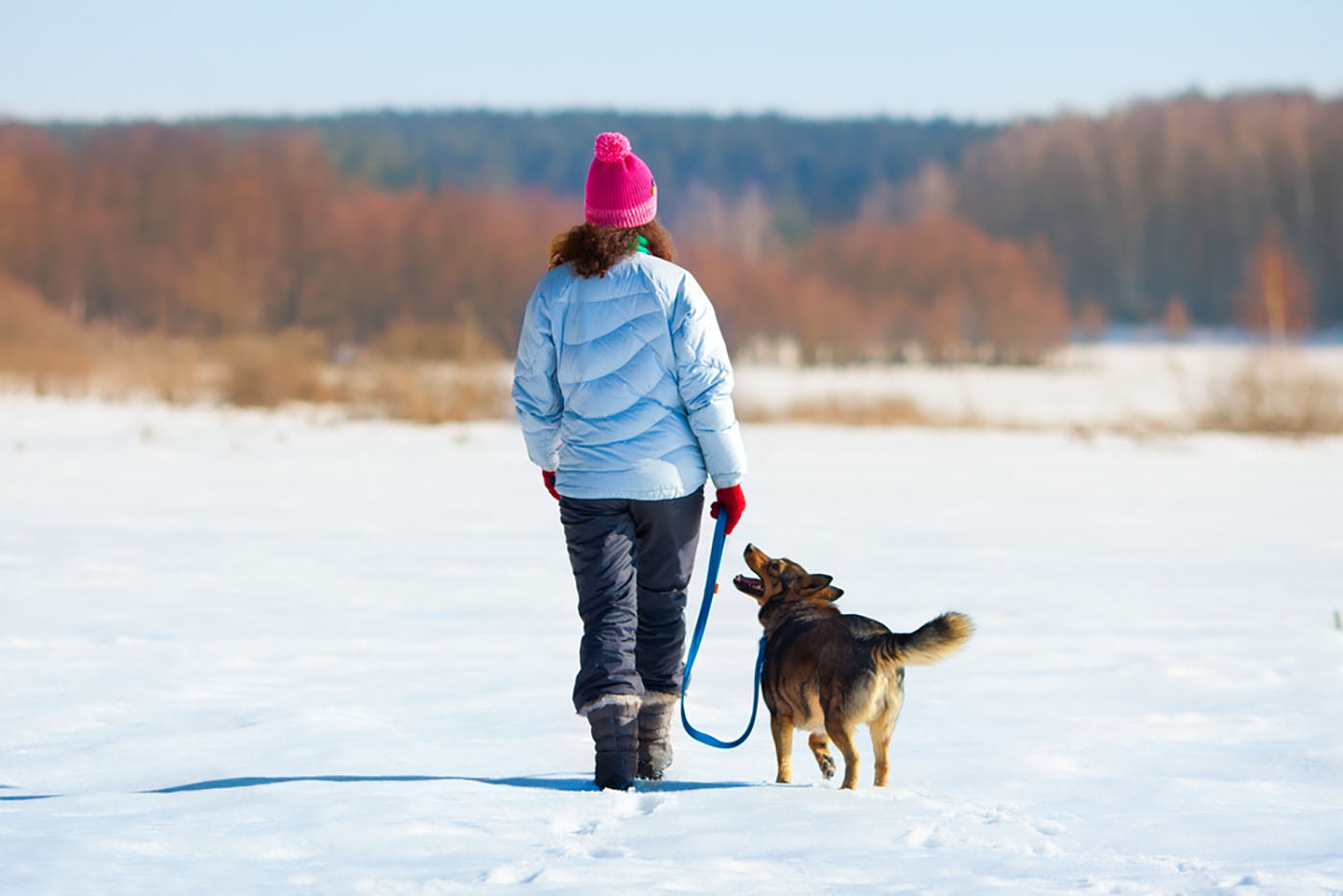 dog and owner walk in snow