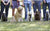 group with dogs on leashes