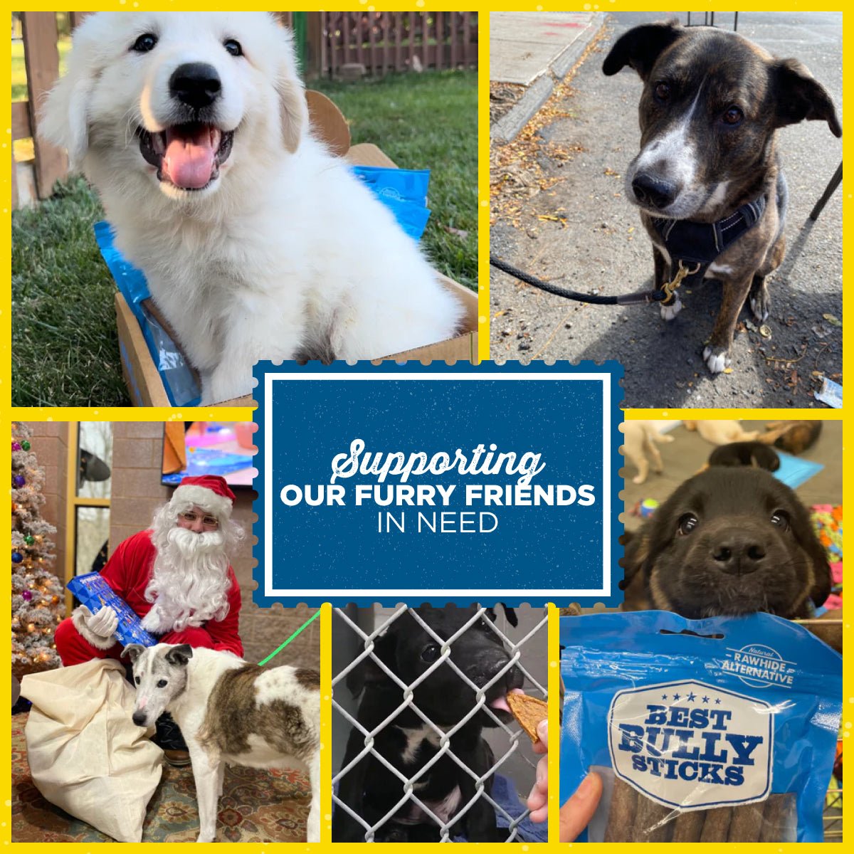 how best bully sticks supports dogs in need