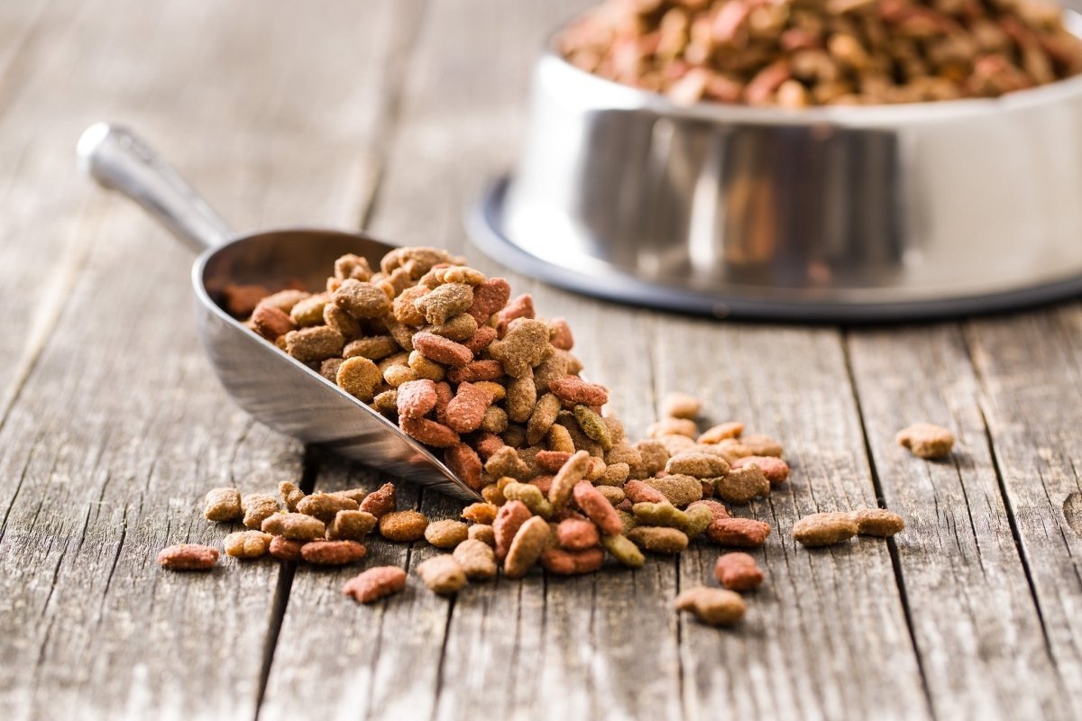 bowl and scoop with dog food in it