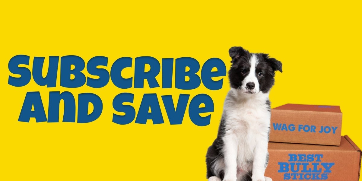 Is a Best Bully Sticks Subscription Worth It?