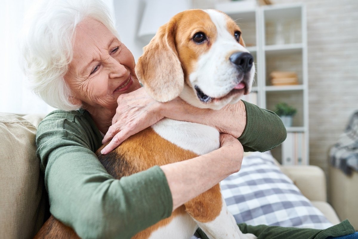 woman hugging beagle on couch