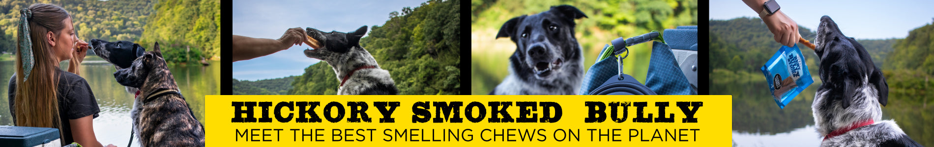 Smoked Dog Chews and Treats