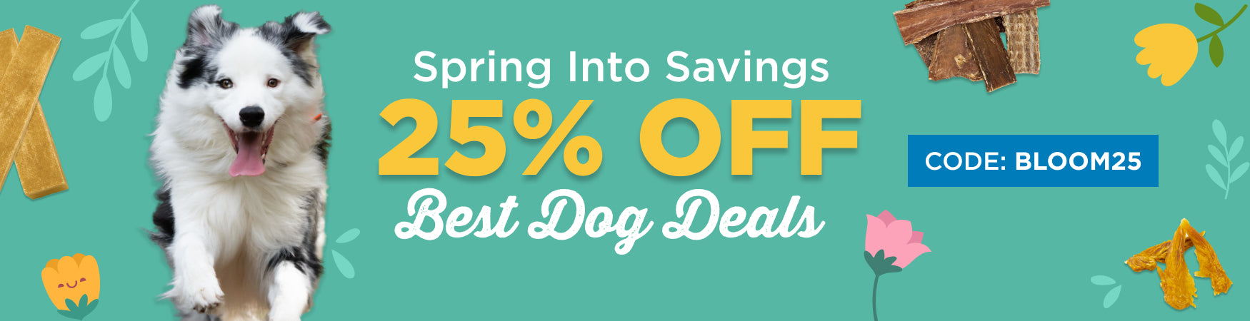 Best Dog Deals