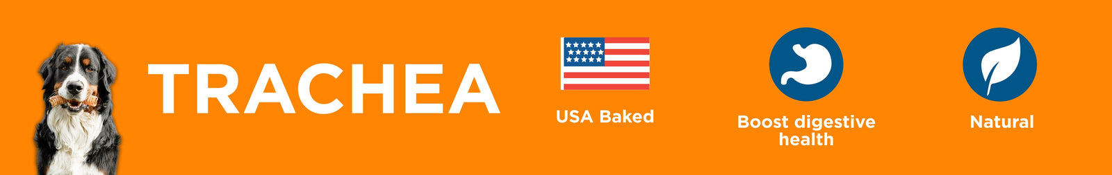 Beef Trachea for Dogs