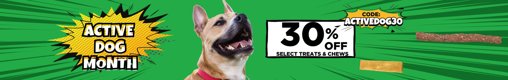 Best Dog Deals