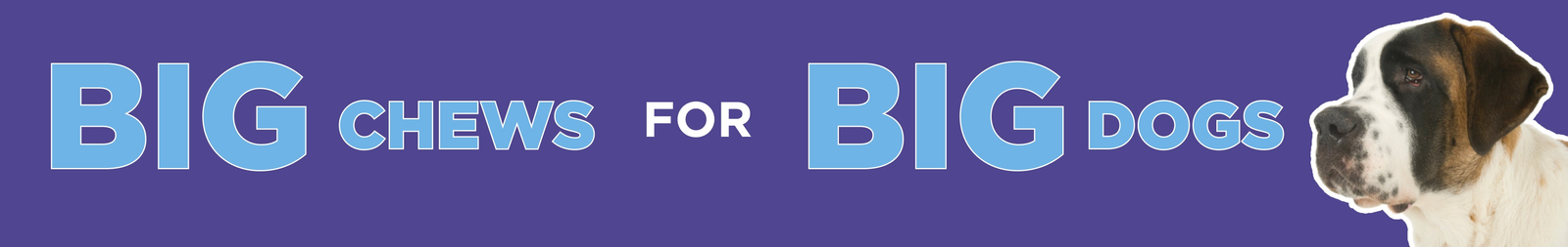 Chews and Treats for Big Dogs