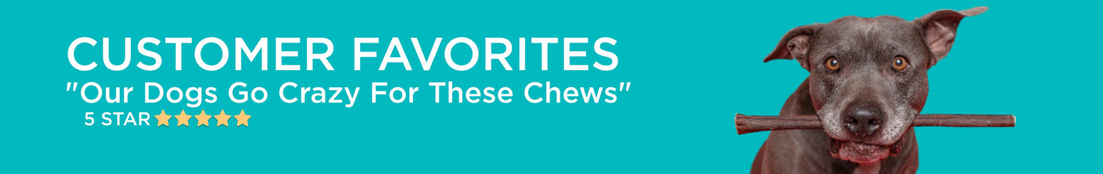 Favorite Treats and Chews