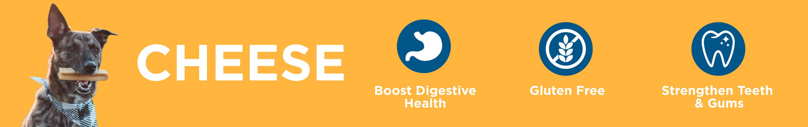 Himalayan Yak Cheese Chews