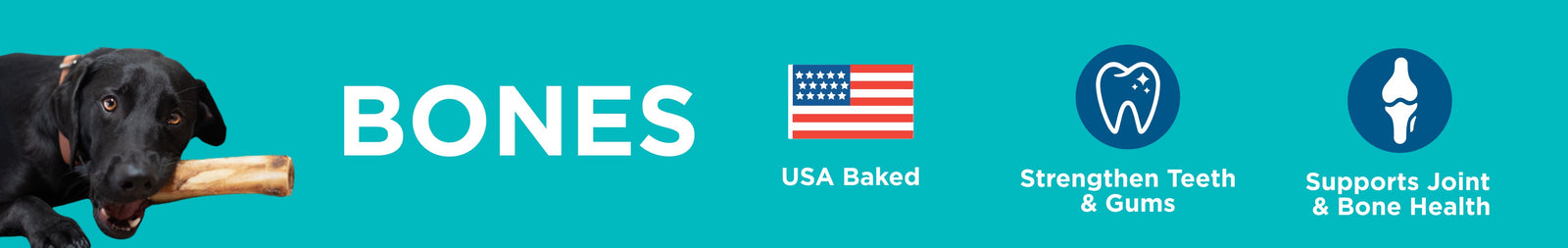 Long-Lasting Dog Bones