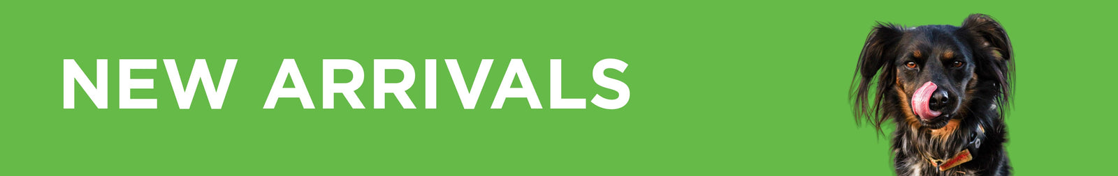 New Dog Treats and Chews