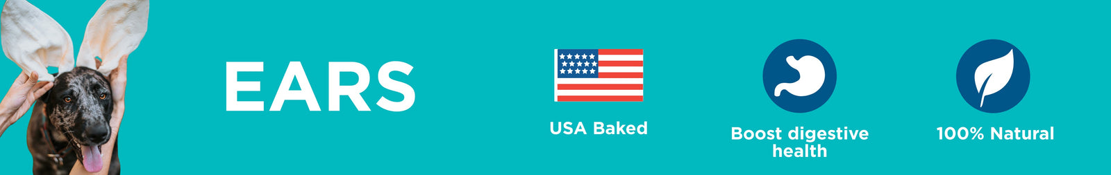 Pig Ears and Cow Ears for Dogs