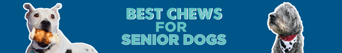 Treats for Senior Dogs